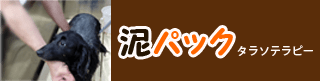 泥パック　タラソテラピー