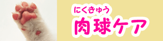 肉球ケア