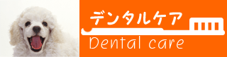 デンタルケア