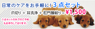 お得な３点セット