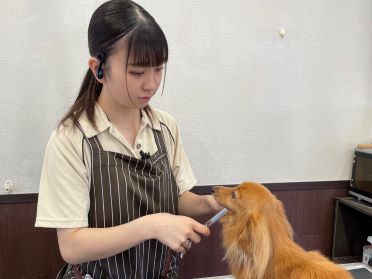 秋山 瑠唯